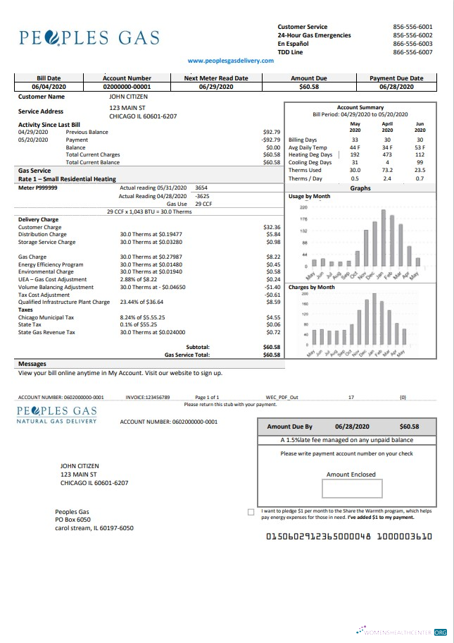 download download USA Illinois Peoples Gas utility bill template in Word and PDF format PDF template PDF template